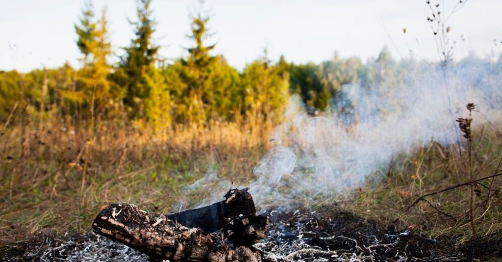Vista Max solución avanzada para la detección temprana de incendios